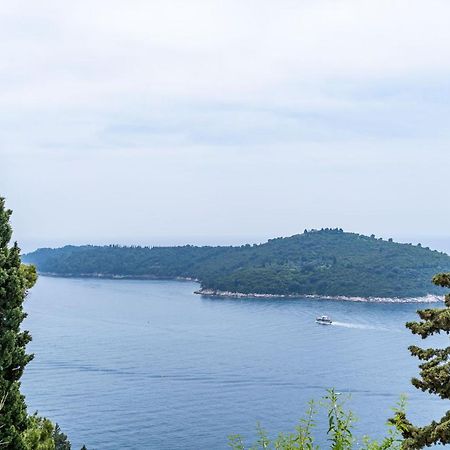 Villa Green Panorama 杜布罗夫尼克 外观 照片