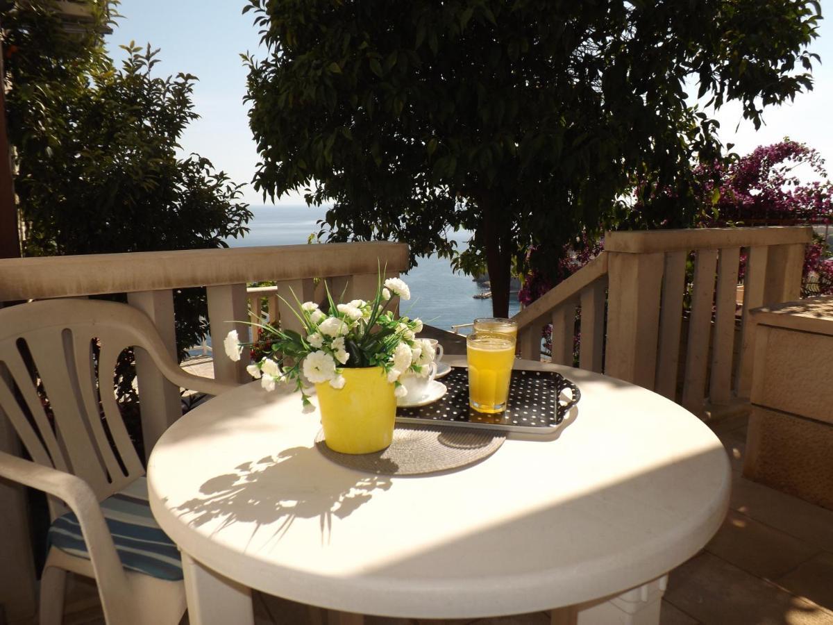 Villa Green Panorama 杜布罗夫尼克 外观 照片